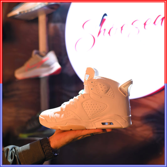 Air Jordan 6 Aleali May