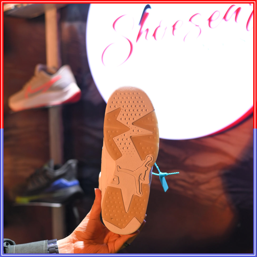 Air Jordan 6 Aleali May