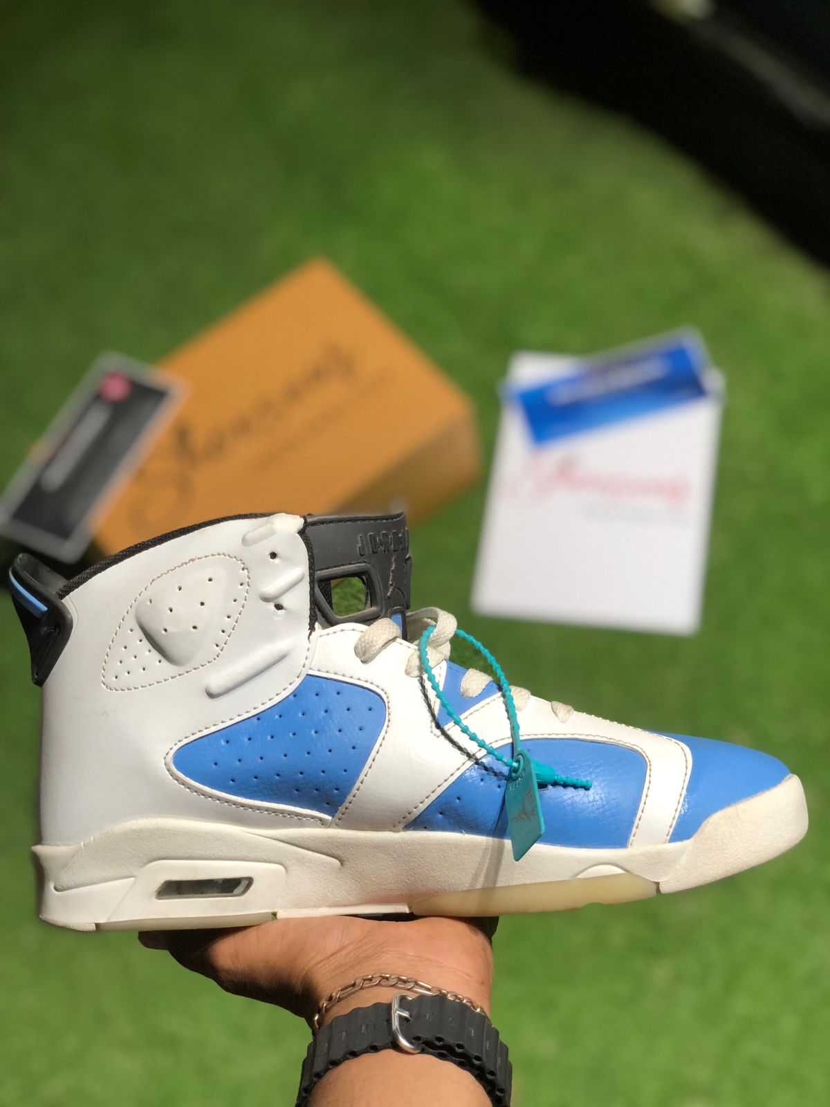 NIK JDN 6 RETRO Blue and White Shoes